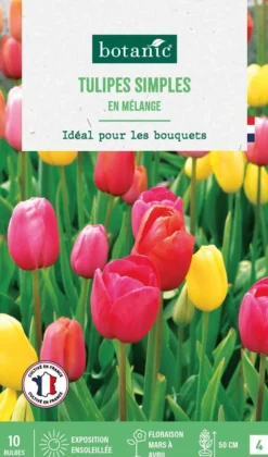 Tulipe en mélange botanic® - 10 bulbes