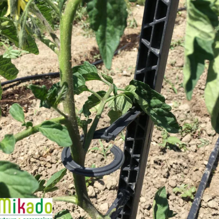 Tuteur à tomate avec 4 attaches coloris gris - 180 cm