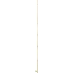 Tuteur bambou naturel coloris beige H 1,80m x Ø 10-12 mm