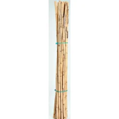 Tuteurs tomates 180 cm