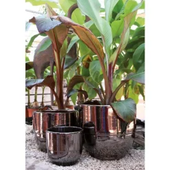 Vase gris gamme Rebord Ø 21 cm