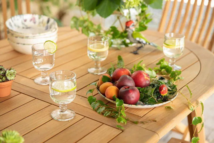 Verre à pied coloris transparent en verre motifs libellules La Rochère - 28 cl