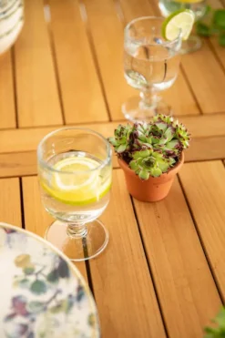 Verre à pied coloris transparent en verre motifs libellules La Rochère - 28 cl