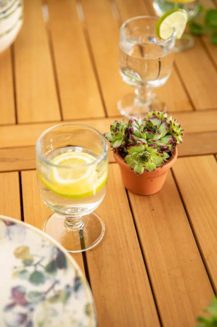 Verre à pied coloris transparent en verre motifs libellules La Rochère - 28 cl