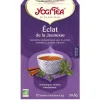 Yogi Tea Éclat de jeunesse – La boîte de 17 sachets