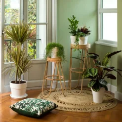 Zamioculcas vert en pot blanc émaillé botanic®. Le pot Ø 15 cm